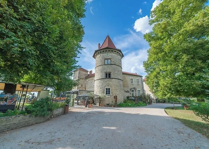 Les Dependances Du Chateau Chapeau Cornu 3* Vignieu
