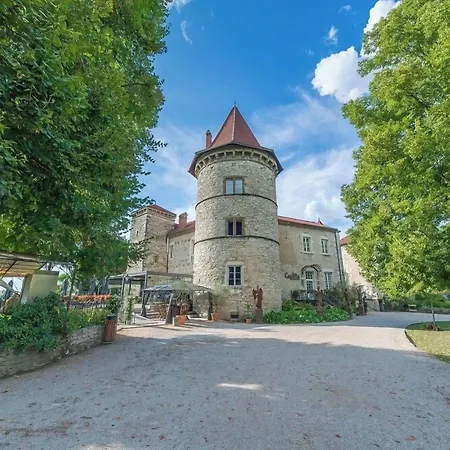 Les Dependances Du Chateau Cornu 3* Vignieu